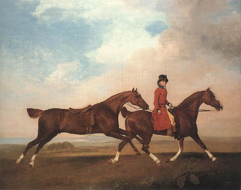 STUBBS, George William Anderson with Two Saddle-horses er China oil painting art